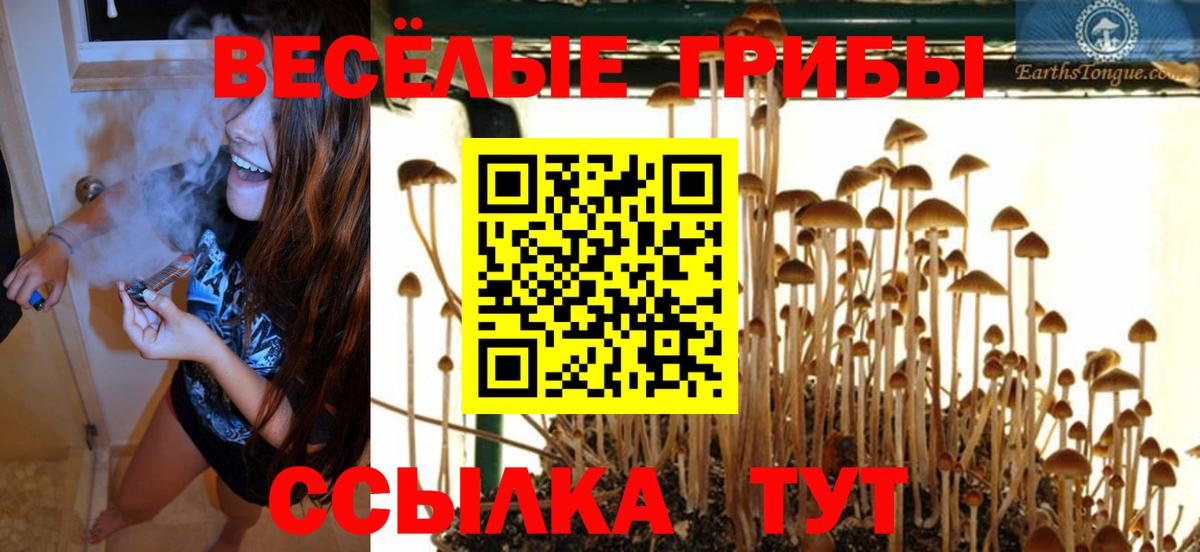 Зима  Галлюциногенные грибы MAGIC MUSHROOMS  Вход с VPN 