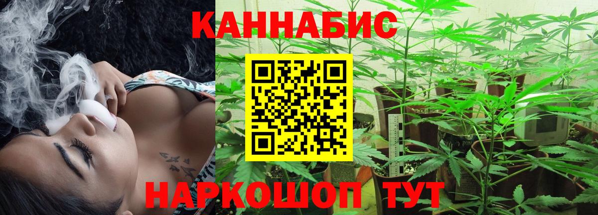 Зима  Бошки марихуана ГИДРОПОН  Каннабис THC 21%  Вход с VPN  МАРИХУАНА MAZAR 